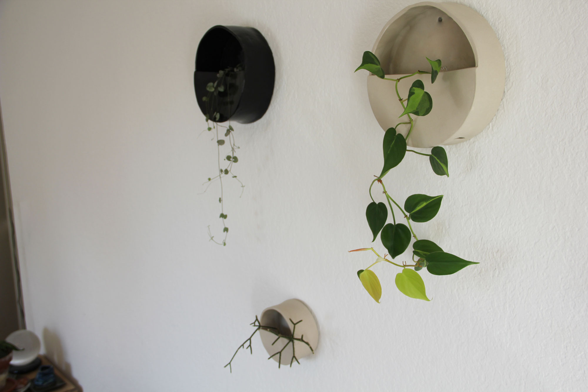 Wall planters – black and white